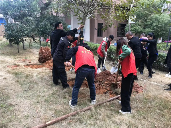 市古鎮(zhèn)投資公司行政黨支部開展義務植樹志愿服務主題黨日活動